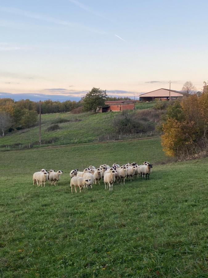 Gite Atypique Borrèze Eksteriør bilde